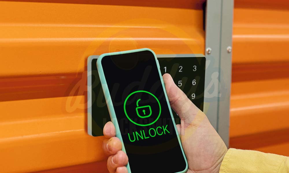 lock and unlock via software